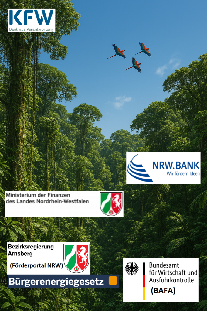 Der Förderdschungel aus KfW, BAFA und NRW.BANK Logos in einem Urwald für die Fördermittelberatung.
