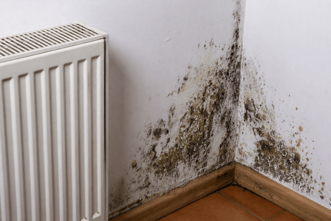 Schimmelbefall an einer Wand und in einer Raumecke neben einem Heizkörper