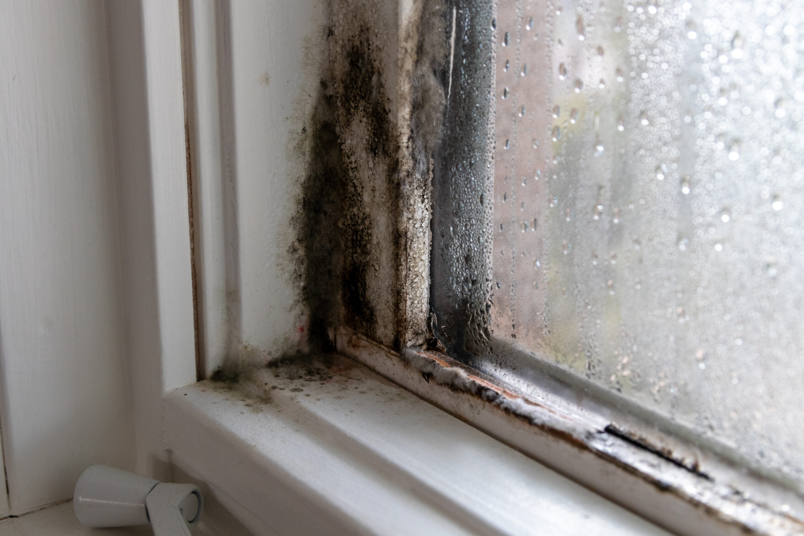 Schimmelbildung und Kondenswasser am Fensteranschluss einer Wohnung in Düsseldorf