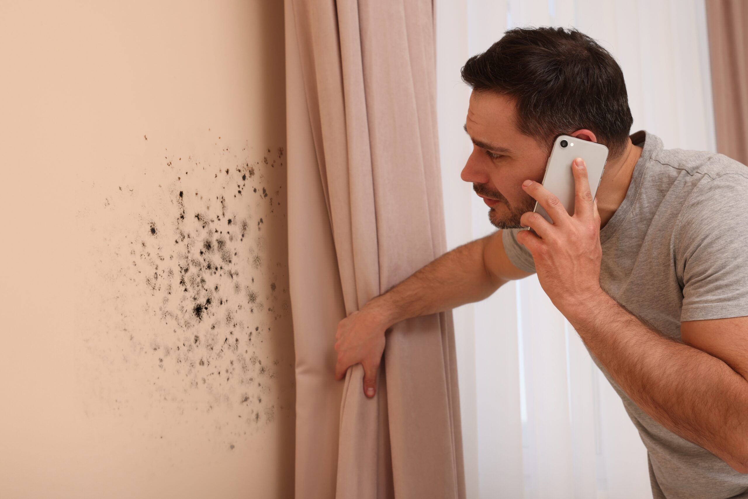 Sichtbarer Schimmelbefall an einer Innenwand in einer Wohnung in Düsseldorf